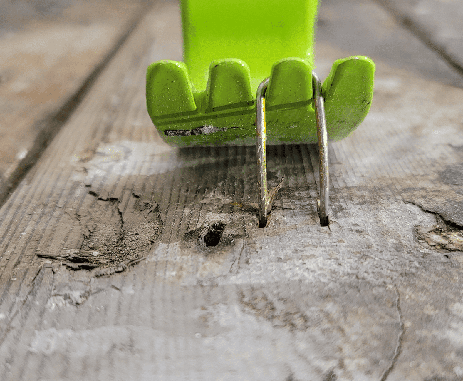Pry bar removing nails from wooden floor